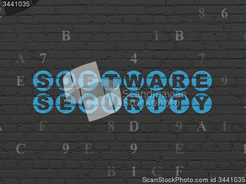Image of Protection concept: Software Security on wall background