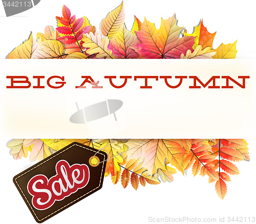 Image of Autumn sale background. EPS 10