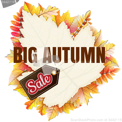 Image of Fallen leaf Big Sale. EPS 10