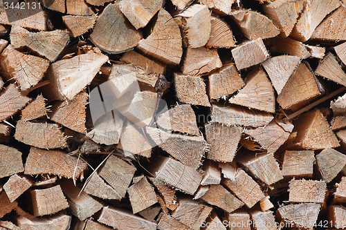 Image of Dry chopped firewood logs 