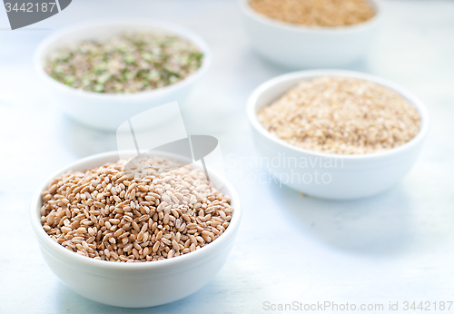 Image of Cereal grains , barley , soybean , rice , millet , spelled