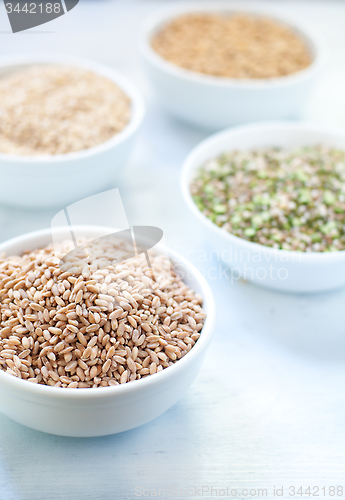 Image of Cereal grains , barley , soybean , rice , millet , spelled