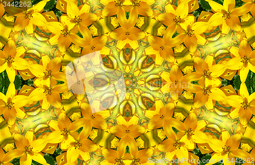 Image of Flower abstract pattern