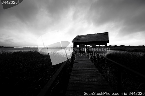 Image of Wooden path trough the reed