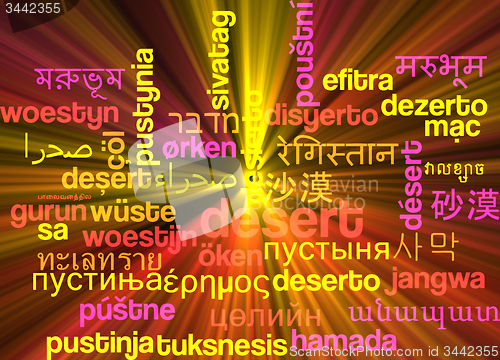 Image of Desert multilanguage wordcloud background concept glowing