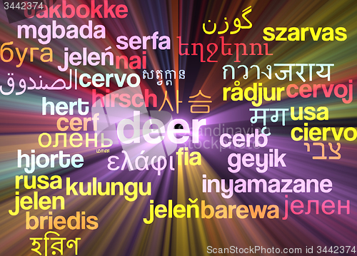 Image of Deer multilanguage wordcloud background concept glowing