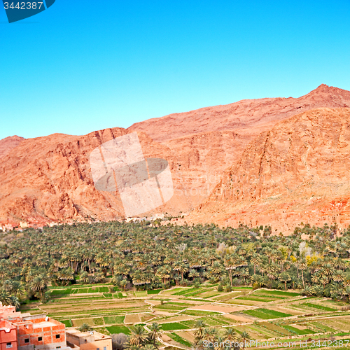Image of  in todra gorge morocco africa and  village