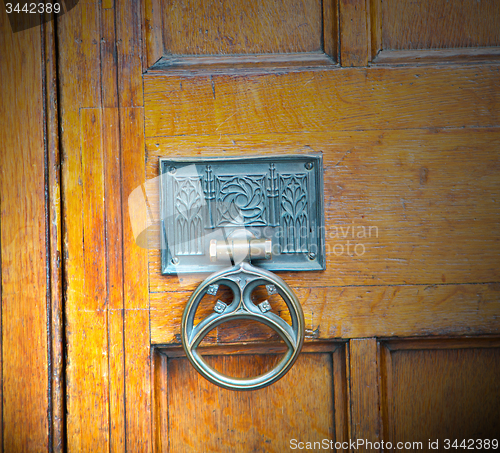 Image of handle in london antique brown door  rusty  brass nail and light