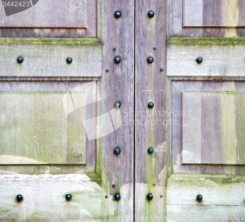 Image of in london antique brown door  rusty  brass nail and light