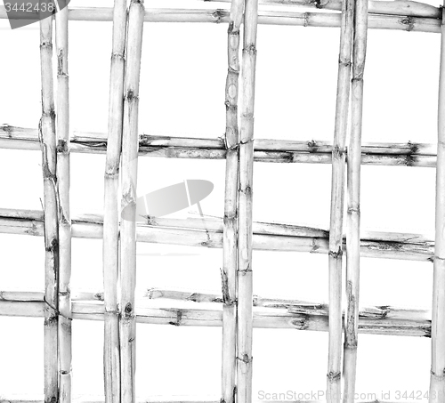 Image of morocco abstract bamboo roof in the  africa  sky