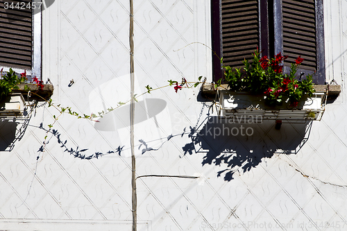 Image of red terrace europe      the milano   window  flower