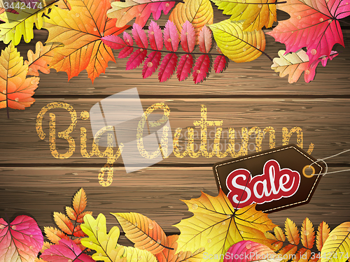 Image of Autumn leaves Sale poster. EPS 10