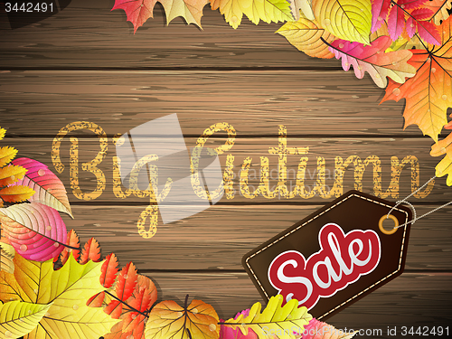 Image of Autumn Big Sale typography poster. EPS 10