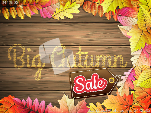Image of Autumn Big Sale. EPS 10