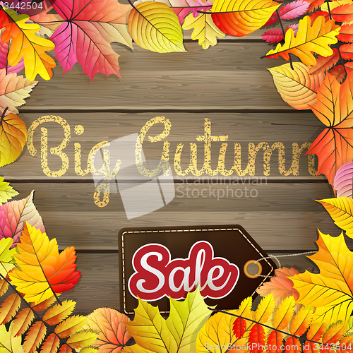 Image of Autumn Big Sale typography poster. EPS 10