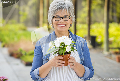 Image of Working in a flower shop