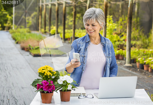 Image of Working in a flower shop