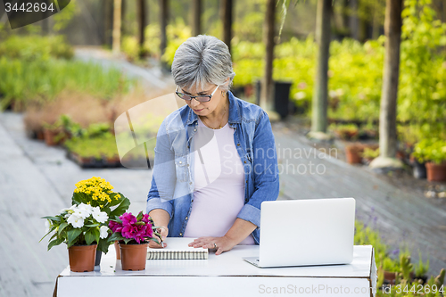 Image of Working in a flower shop