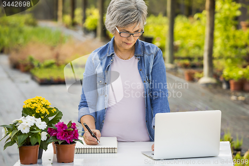 Image of Working in a flower shop