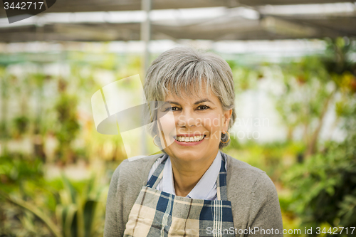 Image of A day in a green house