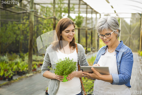 Image of Worker and customer in a green house