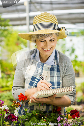 Image of Working in a greenhouse