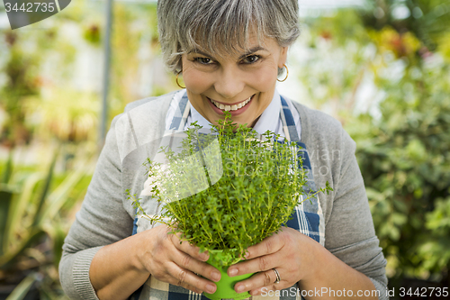 Image of Choosing fresh herbs