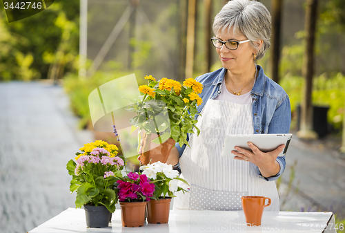 Image of Working in a flower shop