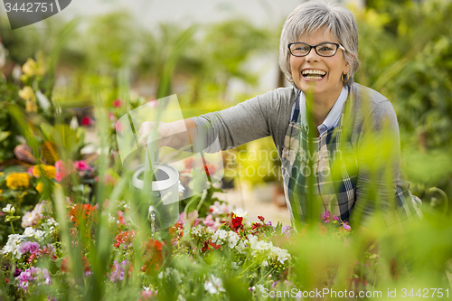 Image of Mature woman watering flowers