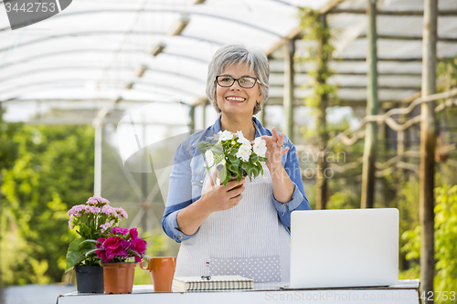 Image of Working in a green house