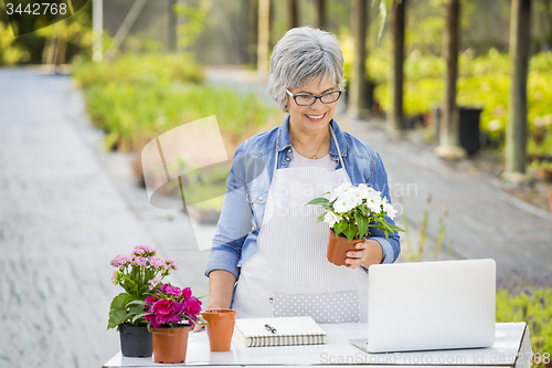 Image of Working in a flower shop