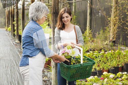 Image of Worker and customer in a green house