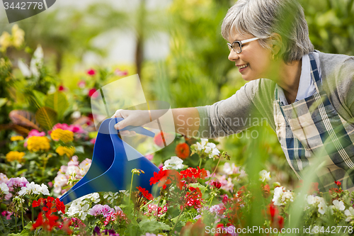 Image of Mature woman watering flowers