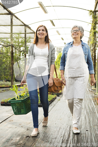 Image of Worker and customer in a green house