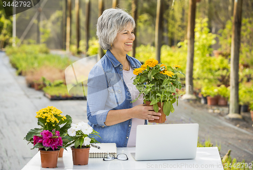 Image of Working in a flower shop