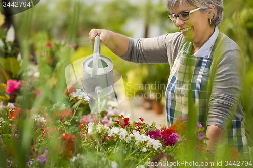 Image of Mature woman watering flowers