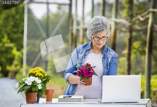 Image of Working in a flower shop