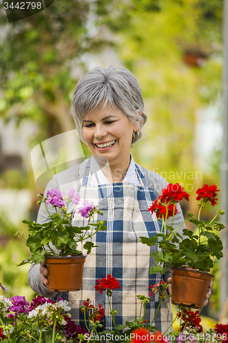 Image of A day in a green house