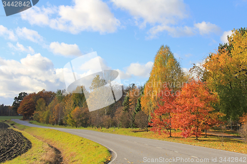 Image of Autumn Road