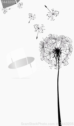 Image of dandelions silhouettes in the wind