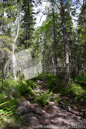 Image of Skuleskogen National Park, Hoega Kusten, Sweden