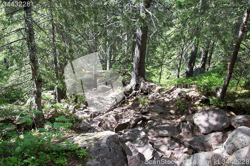 Image of Skuleskogen National Park, Hoega Kusten, Sweden