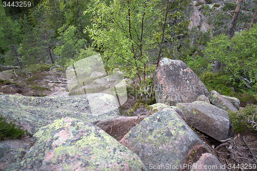 Image of Skuleskogen National Park, Hoega Kusten, Sweden