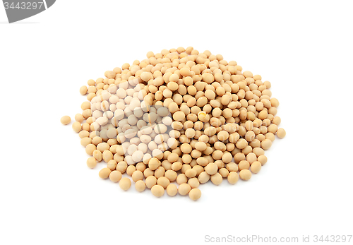 Image of Soybeans, or soya beans