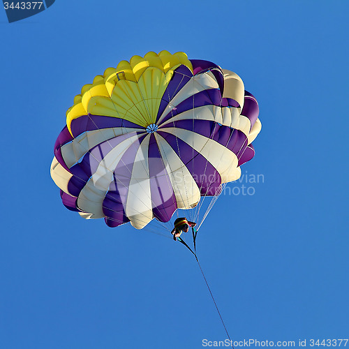 Image of Parasailing in a blue sky