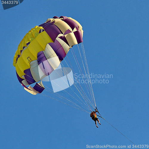 Image of Parasailing in a blue sky