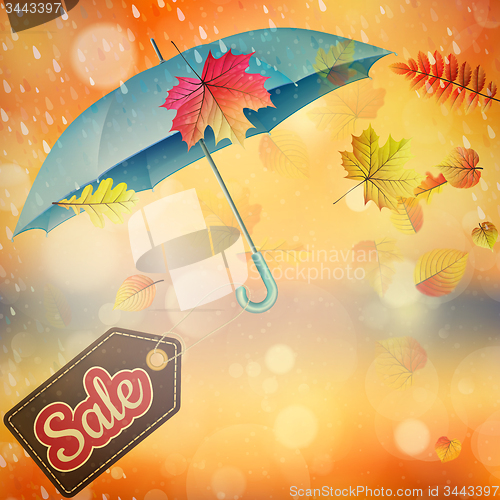 Image of Autumn sales template. EPS 10