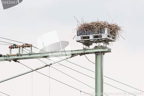 Image of Stork nest on top of a railroad construction