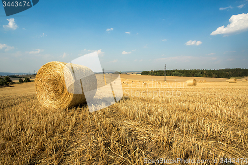 Image of Beautiful landscape with straw bales in harvested fields