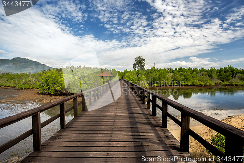 Image of Indonesian landscape with mangrove and walkway